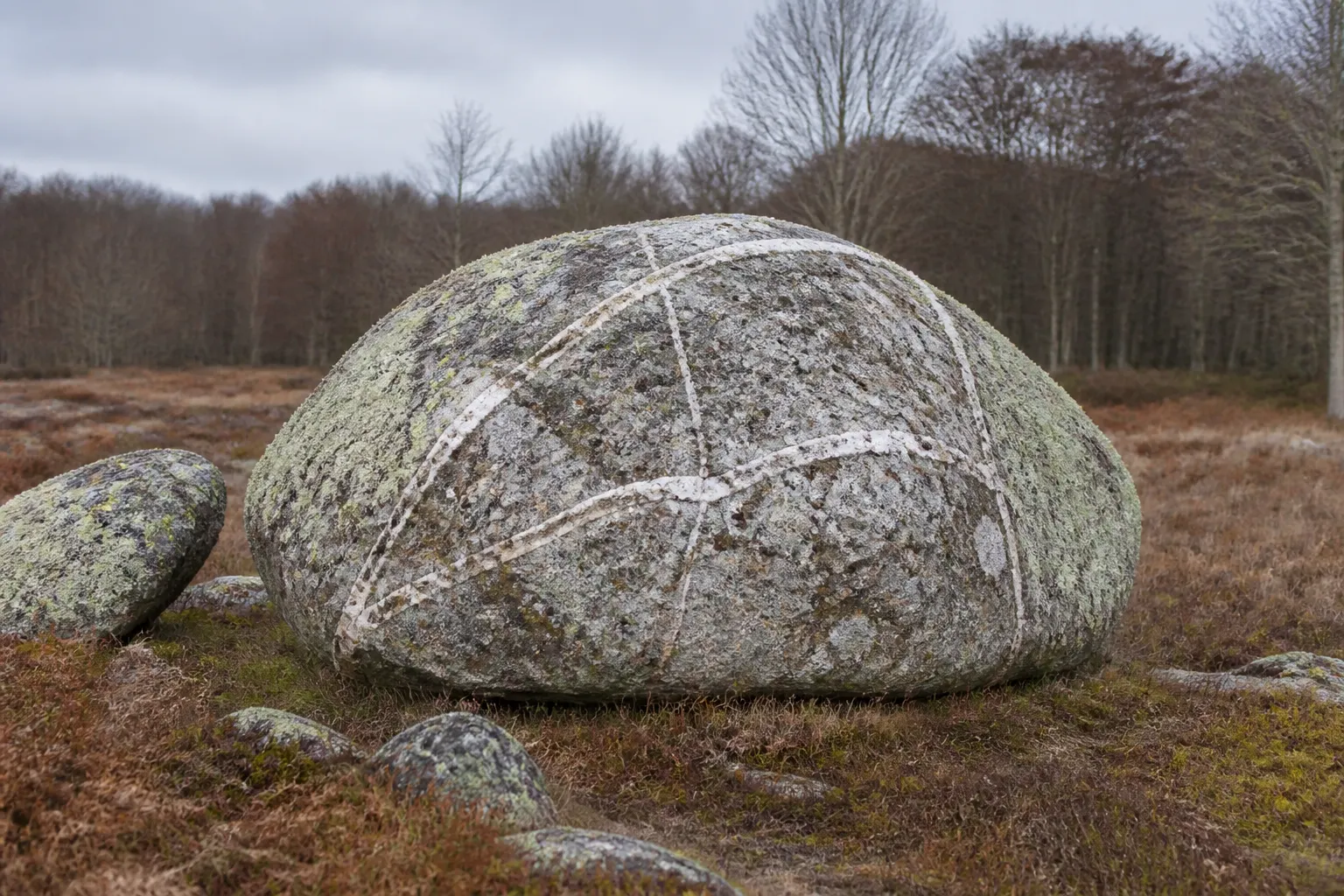 Bloc de granite arrondi posé sur une lande d'herbe rase, à la lisière d'une hêtraie du Morvan